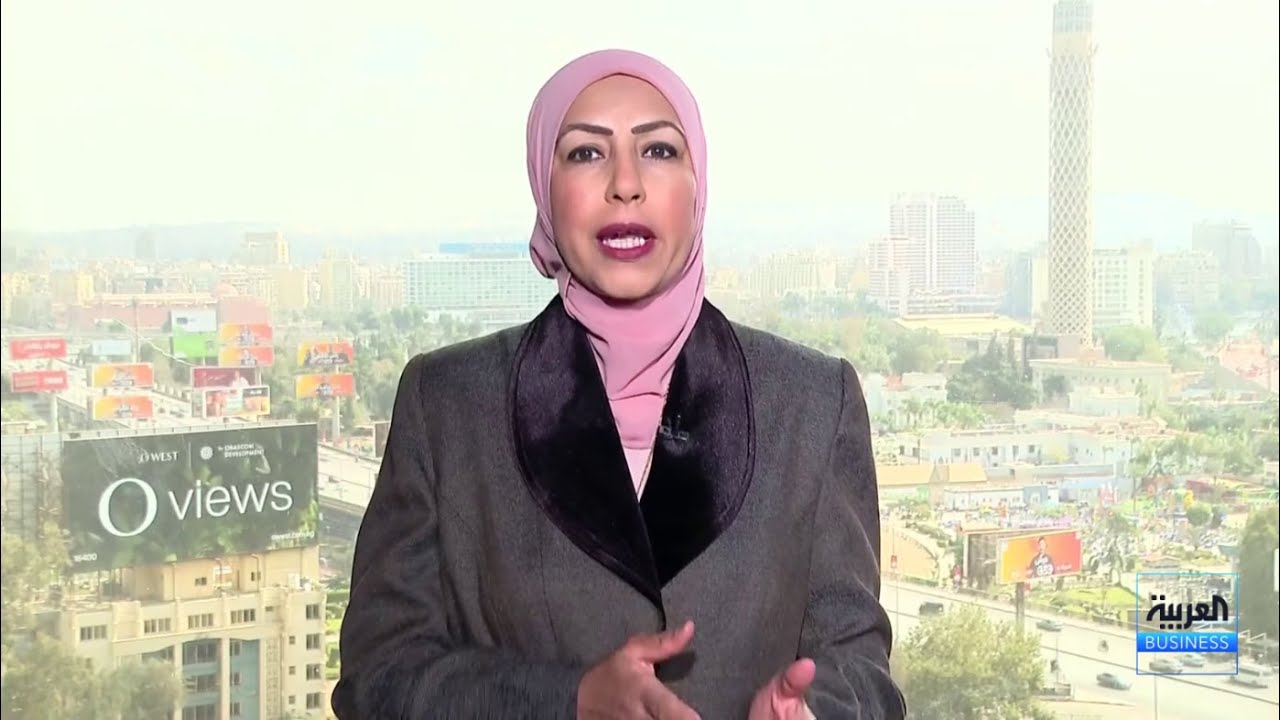 مراسلة العربية Business تفصّل أسباب ارتفاع سعر صرف الدولار أمام الجنيه المصري