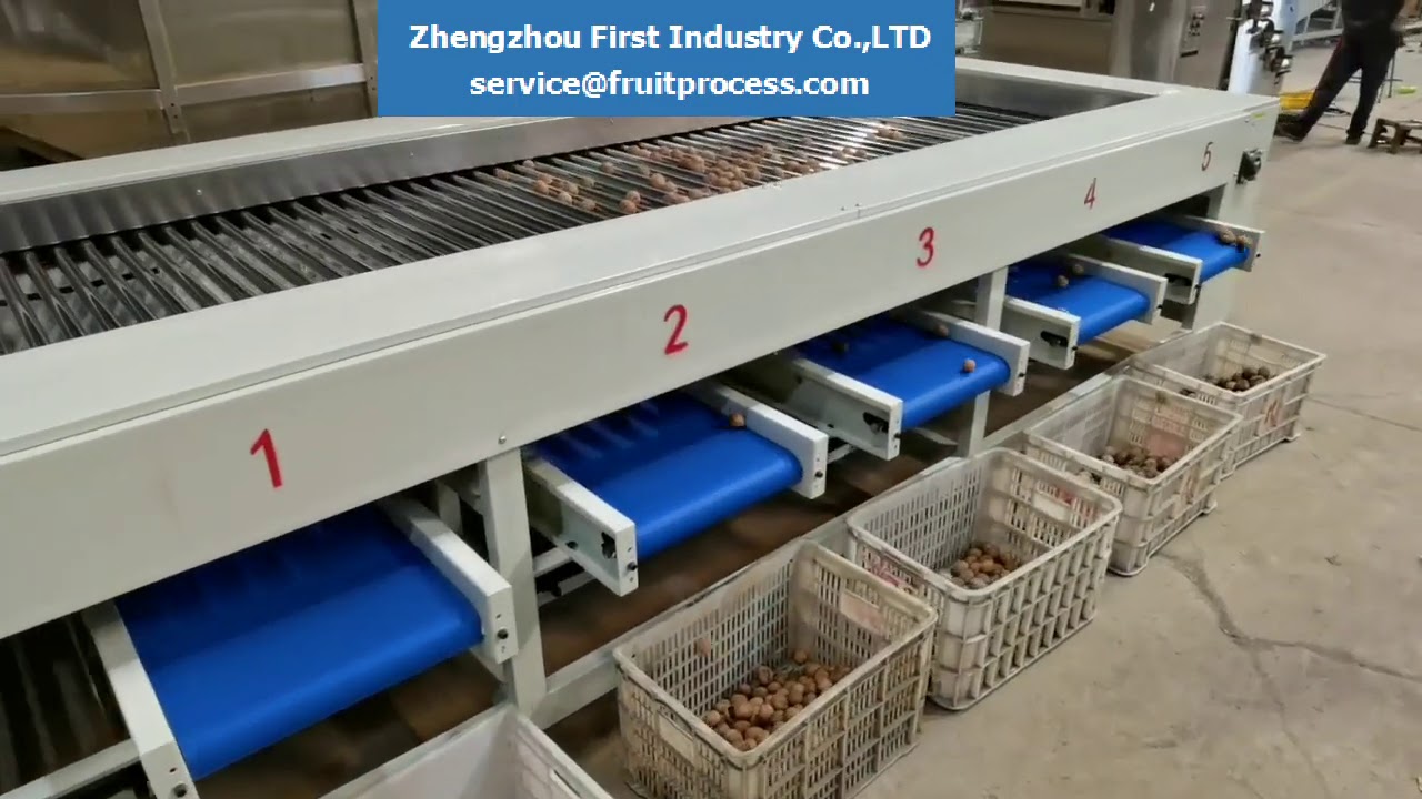 walnut grading machine