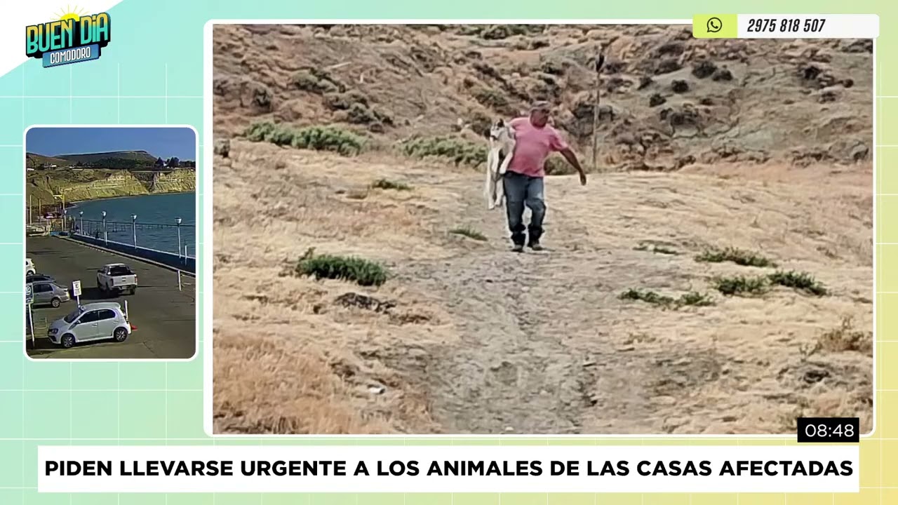 PIDEN LLEVARSE CON URGENCIA A LOS ANIMALES DE LAS CASAS AFECTADAS