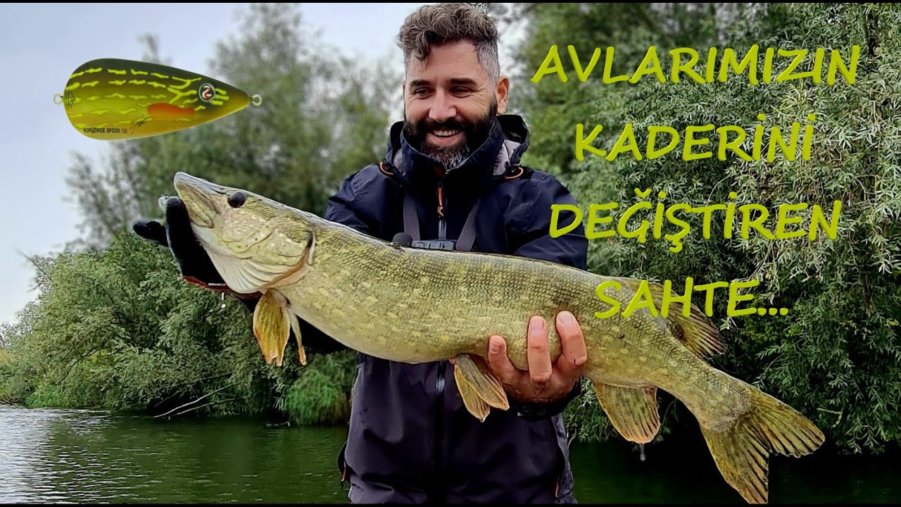 CANAVARLAR yine Bu Sahtenin peşine DÜŞTÜ!! Turna AVI