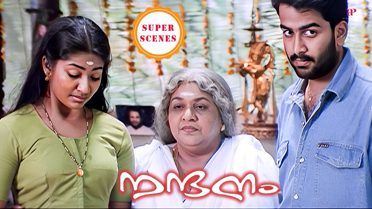 Nandanam Super Scenes | Prithviraj & Navya's journey ends with a surprising revelation | Prithviraj