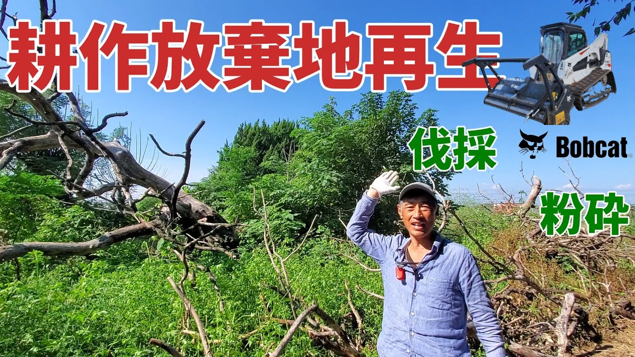 【耕作放棄地再生11】耕作放棄地に倒れた大木を粉砕していきます！