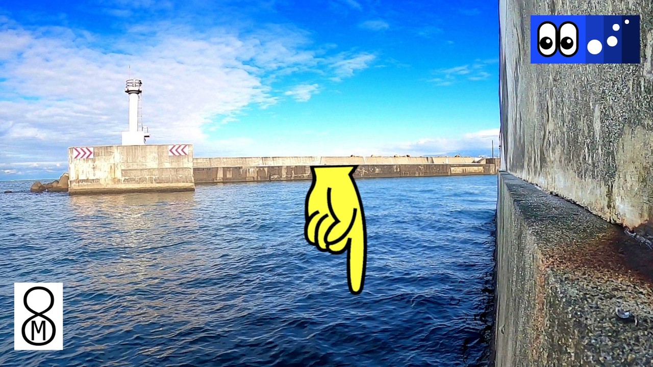 【水辺潜入】海底８メートル、岸壁直下に何がいる？