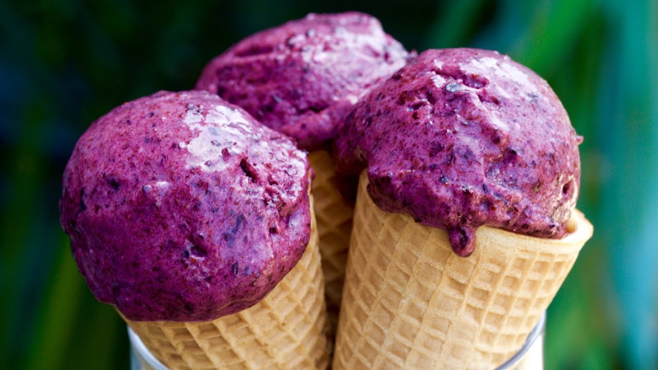 3 Ingredient No-Churn Blueberry Coconut Ice Cream