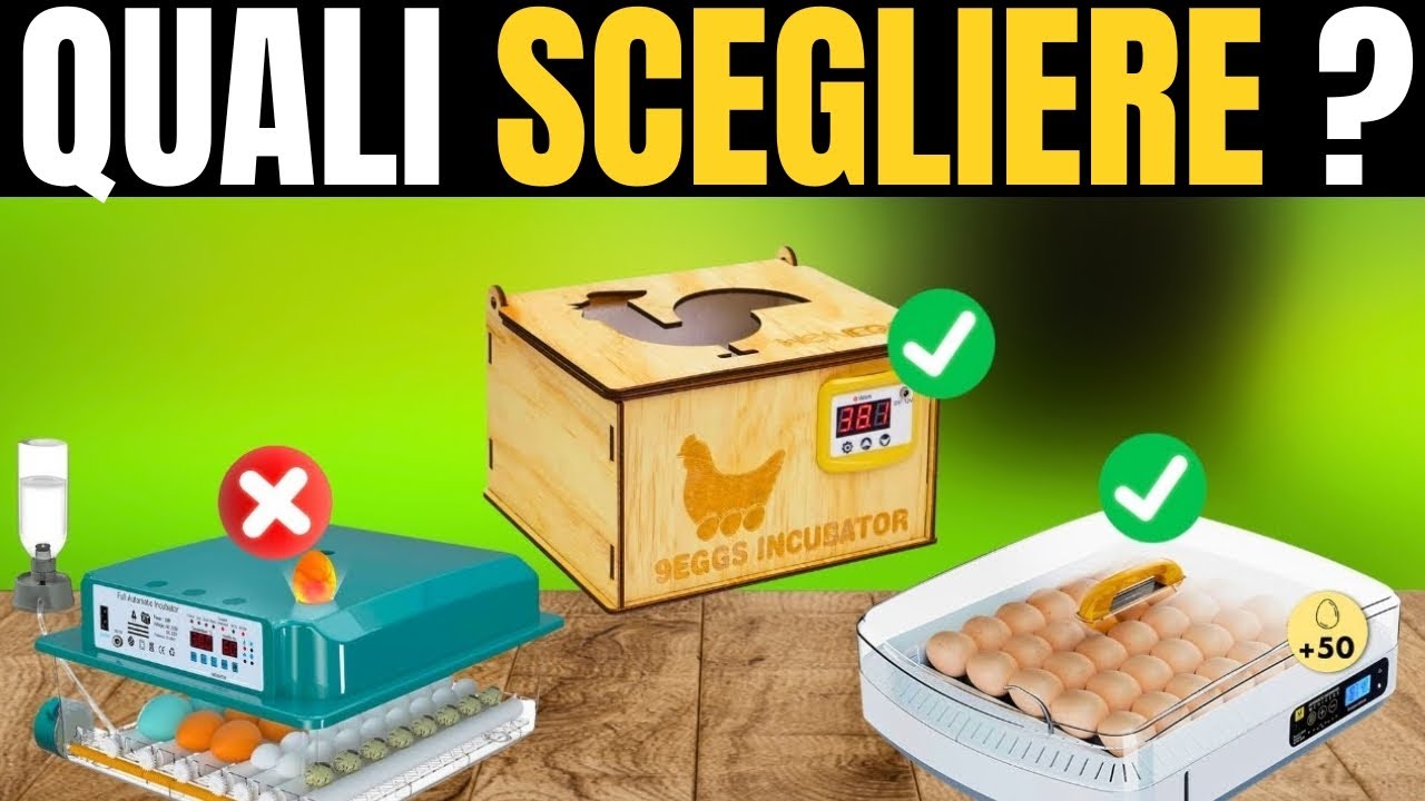 Le Migliori Incubatrici per Uova Qualit&agrave;-Prezzo del 2026 [NON COMPRARE QUELLA SBAGLIATA]
