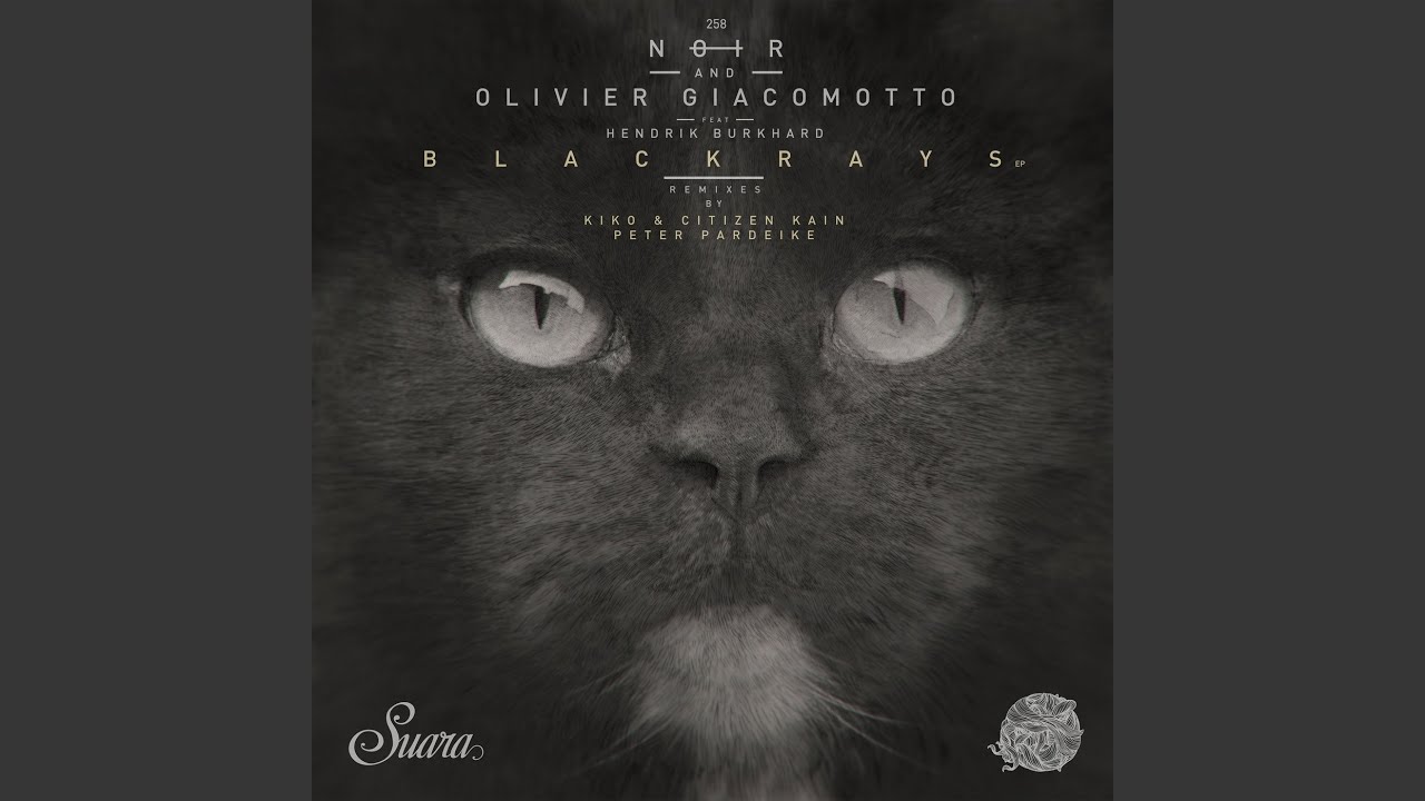 Blackrays (Peter Pardeike Remix)
