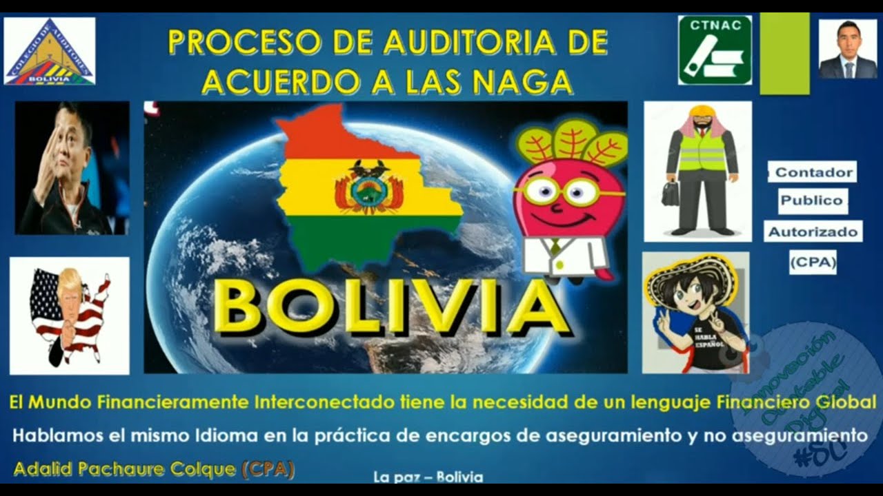 PROCESO DE AUDITORÍA DE ACUERDO A LAS NAGA