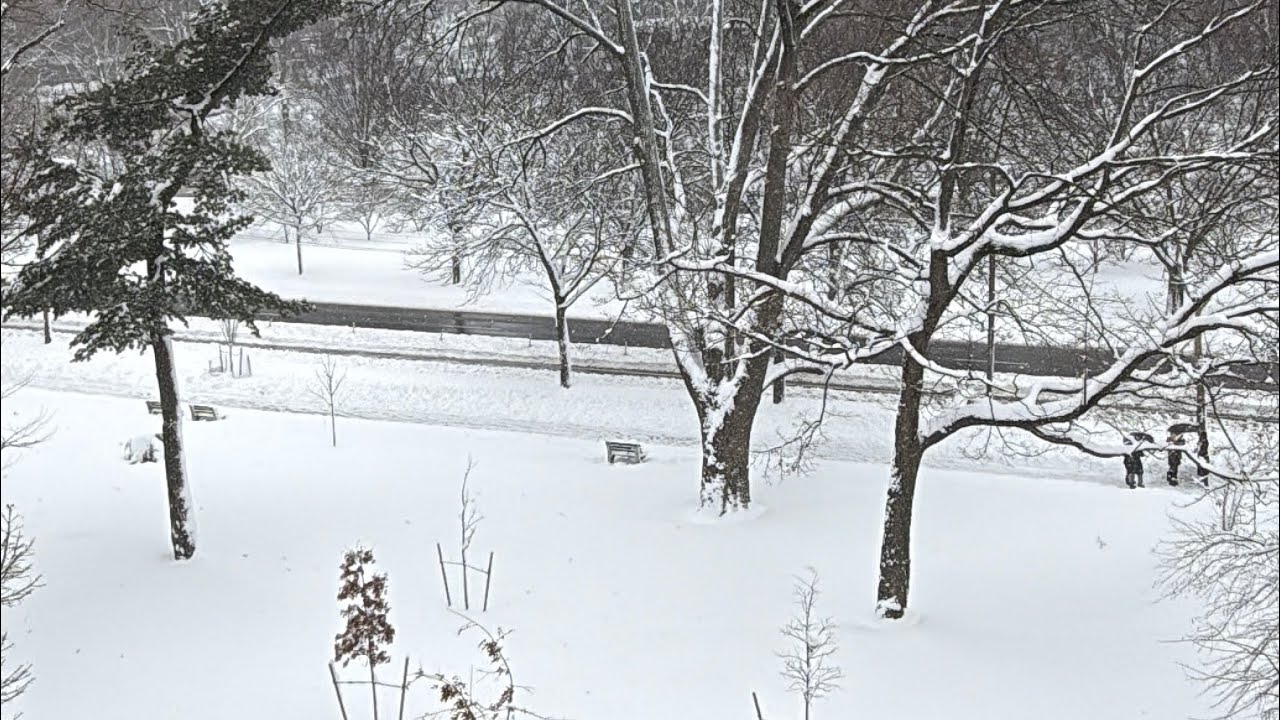 Tormenta DE NIEVE #newyork 
