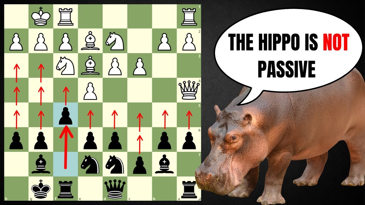 The Hippopotamus Defense Is NOT Passive