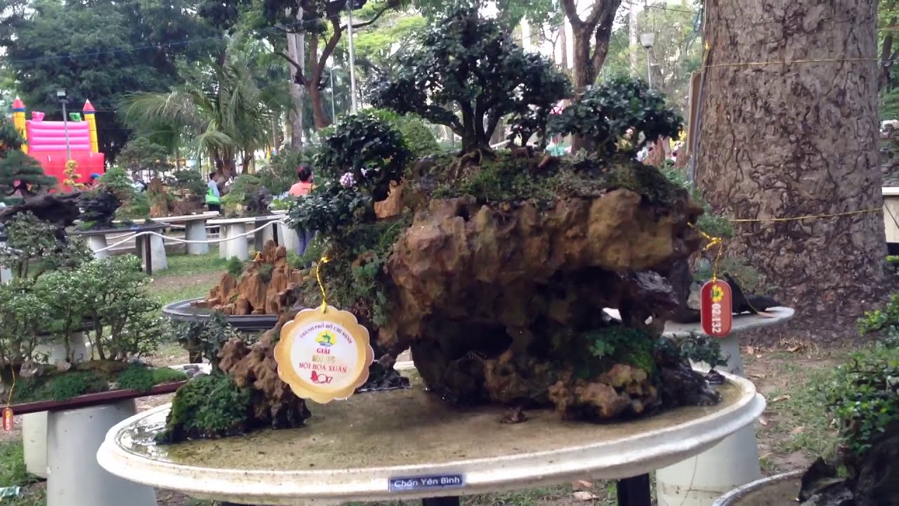 Vietnam Penjing 2017 part 2