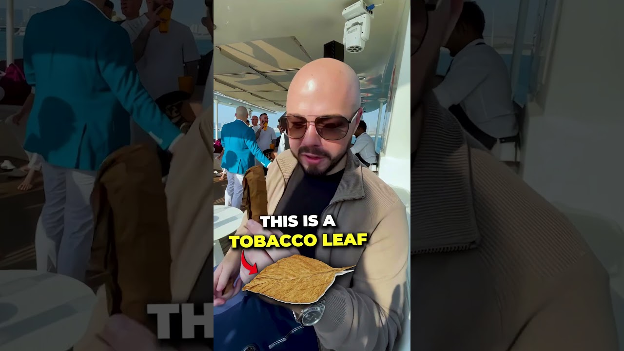 The Best Cigar in the World 🤔