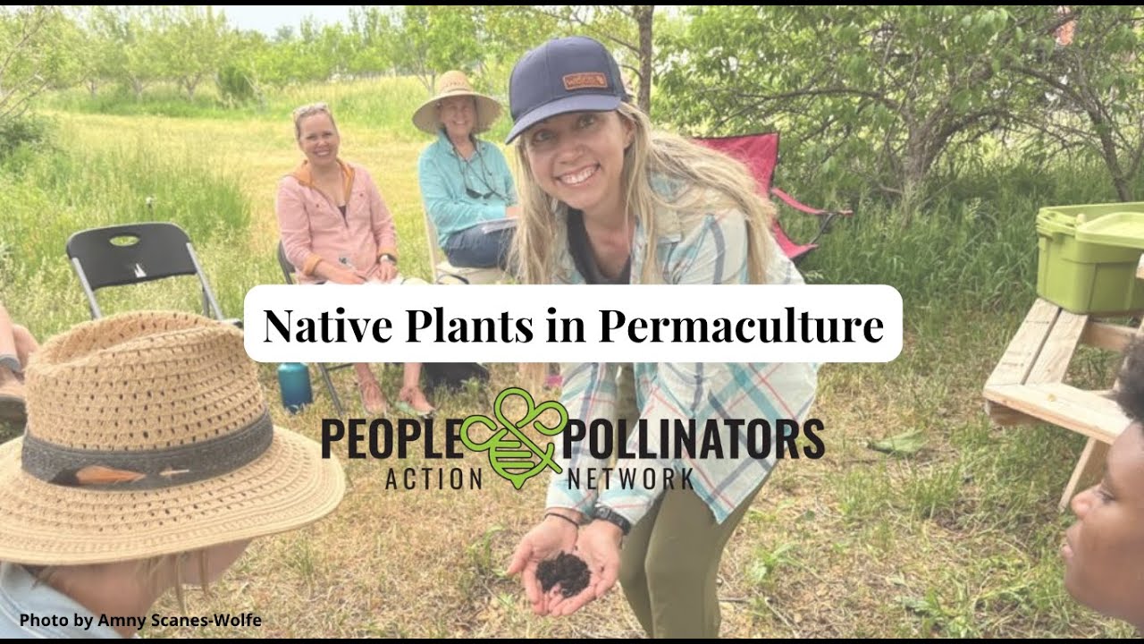 Native Plants in Permaculture