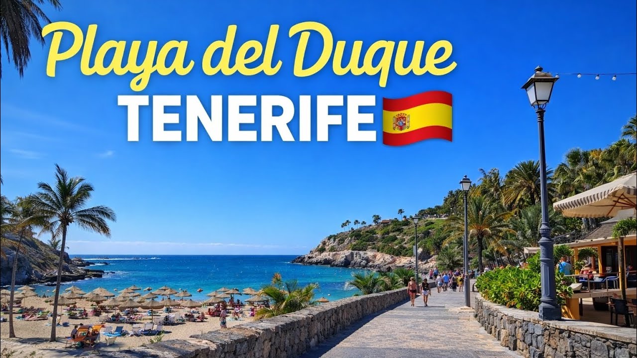 Playa del Duque, Tenerife 🇪🇸 | A Perfect Winter Day – February 5, 2026