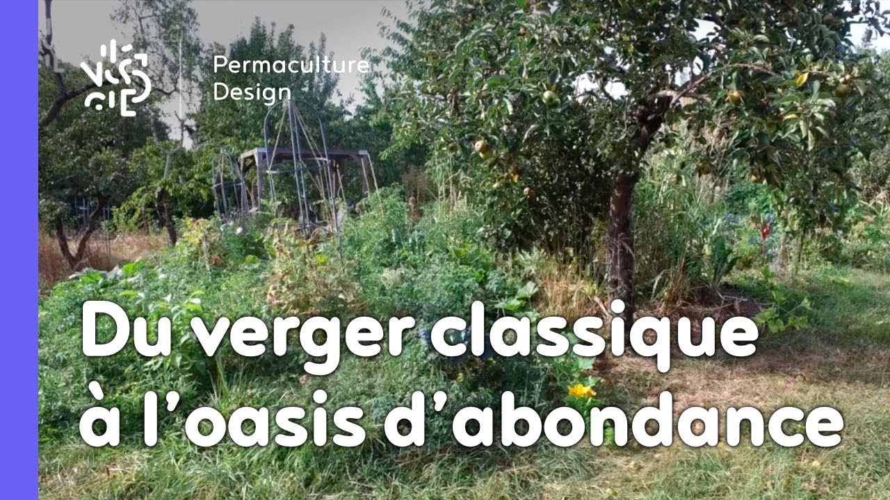 Un permaculteur, un jardin : d'un verger classique à une oasis d'abondance.