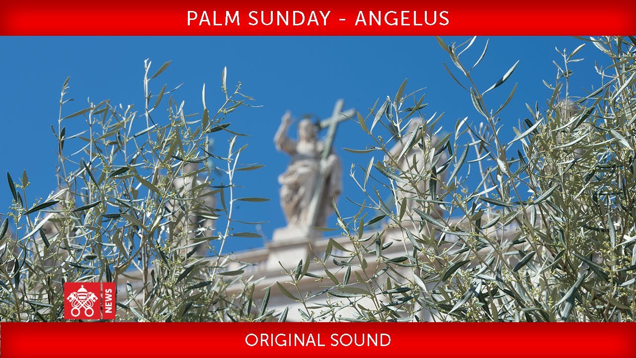 April 05 2020 Celebration of Palm Sunday-Angelus prayer|Pope Francis