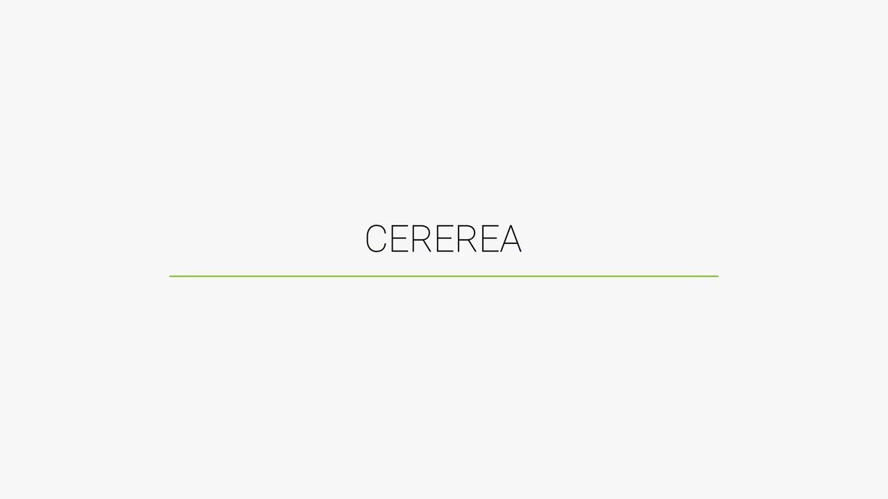 Cererea. Limba și literatura română pentru clasa a VII-a, #Manual Intuitext