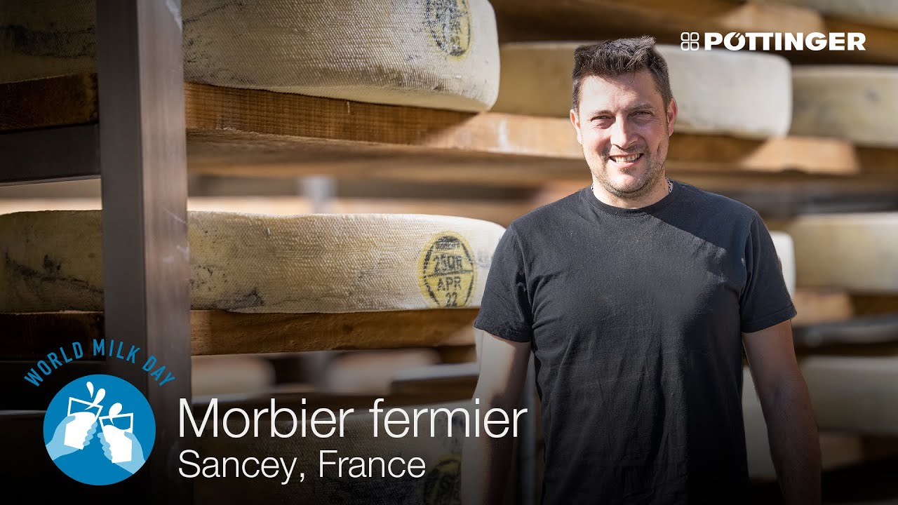 Le quotidien du GAEC des Roches du Dard – Production de morbier fermier en Franche-Comté