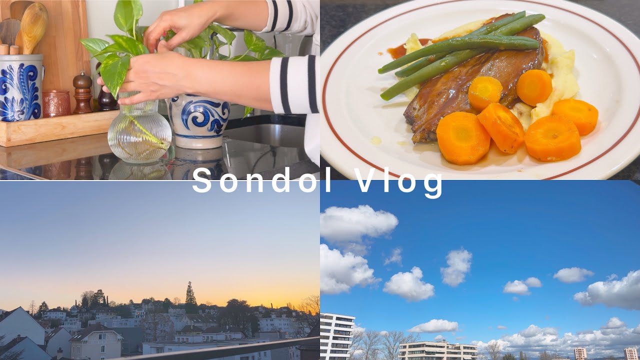 Evening Routine | Plant Care | Mashed Potatoes and Beef | Weekly Vlog