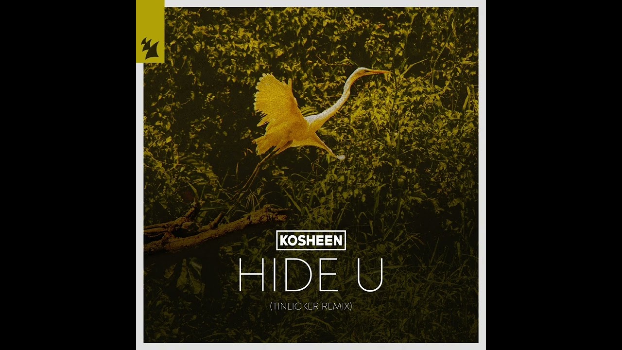 Hide U - Kosheen (Tinlicker Remix) 1 Hour Loop