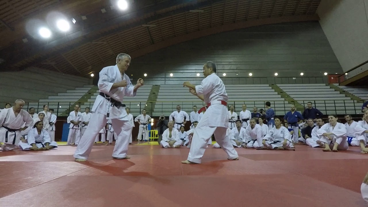 Sensei Oshiro Zenei karate goju ryu Paris - 1