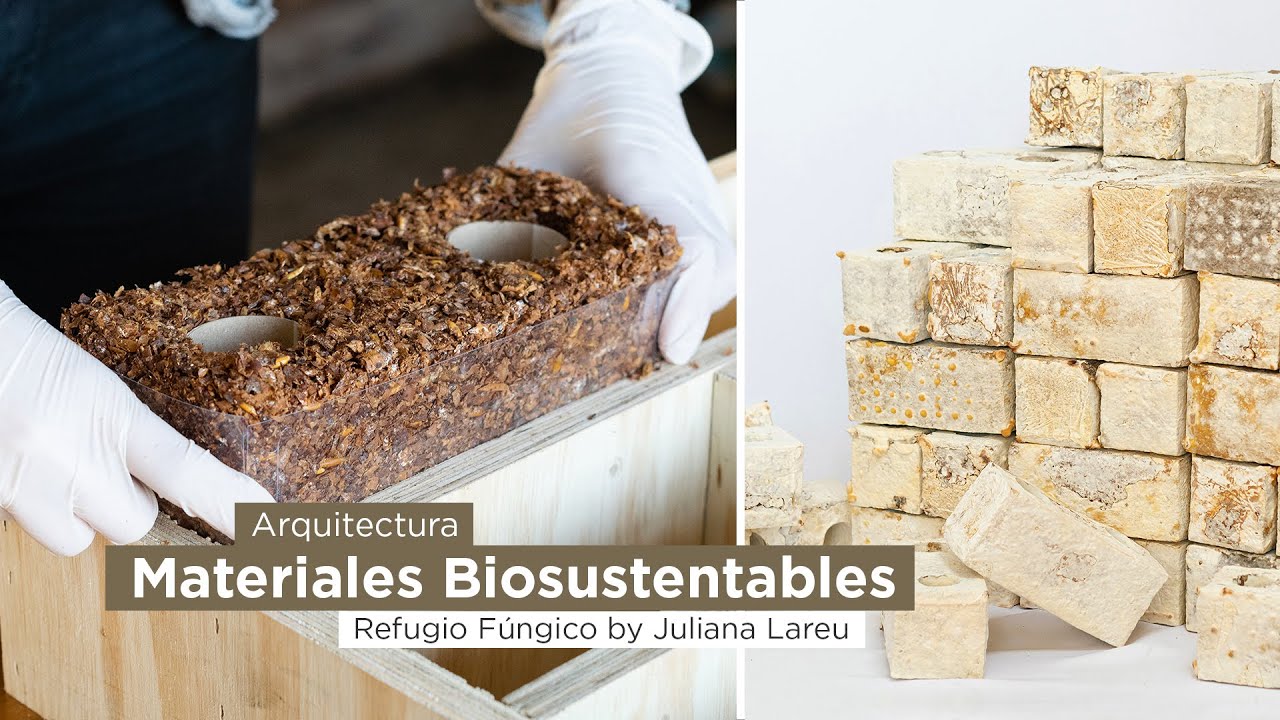 Arquitectura. Nuevos materiales biosustentables  Refugio Fúngico by Juliana Lareu.
