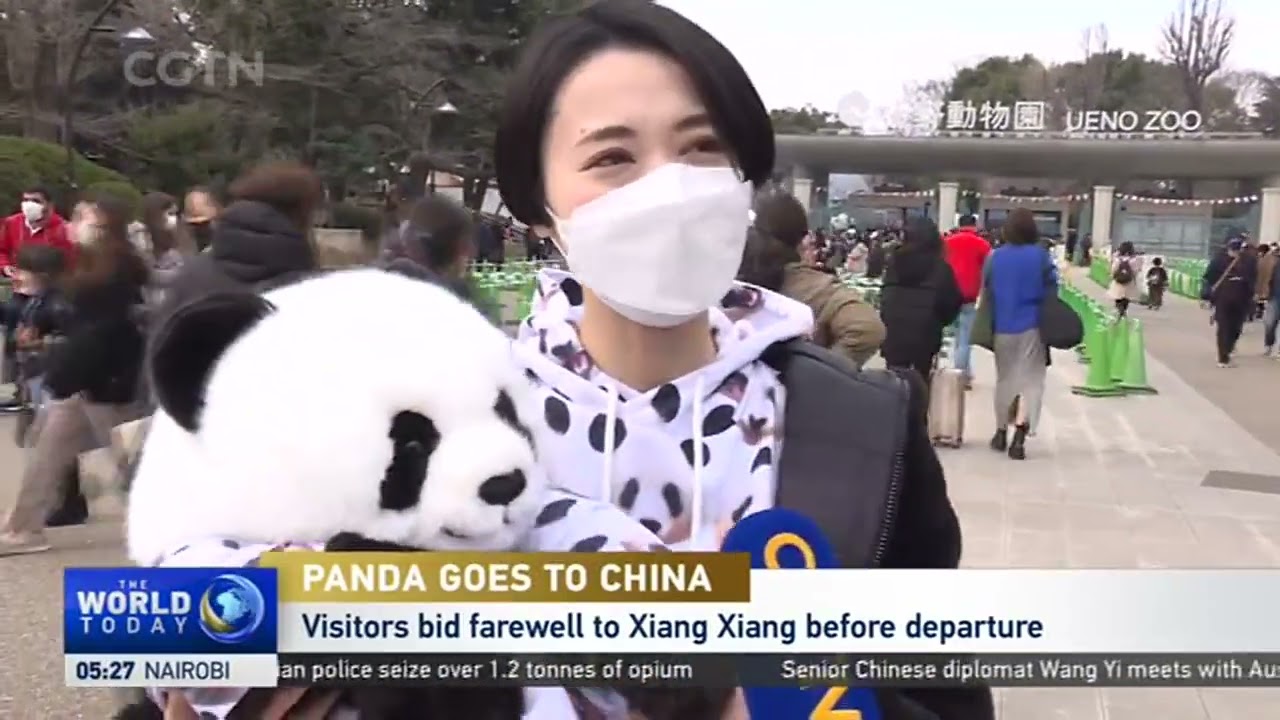 Panda Xiang Xiang head to China, visitors bid farewell