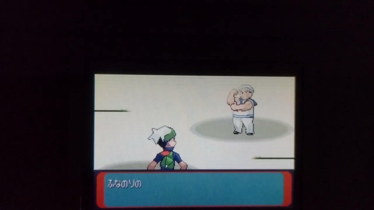 ポケットモンスター エメラルド バトルドーム(10周目の全試合)