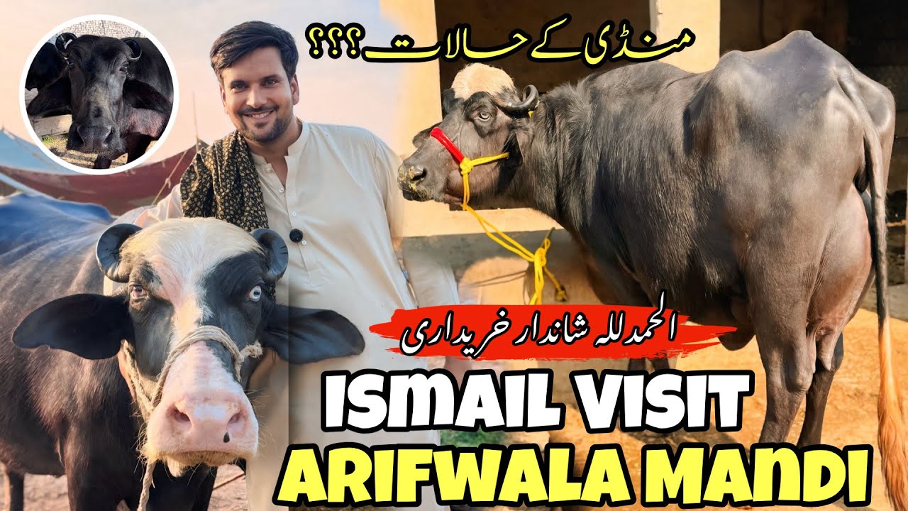 Ismail Jutt Visit Arifwala Mandi