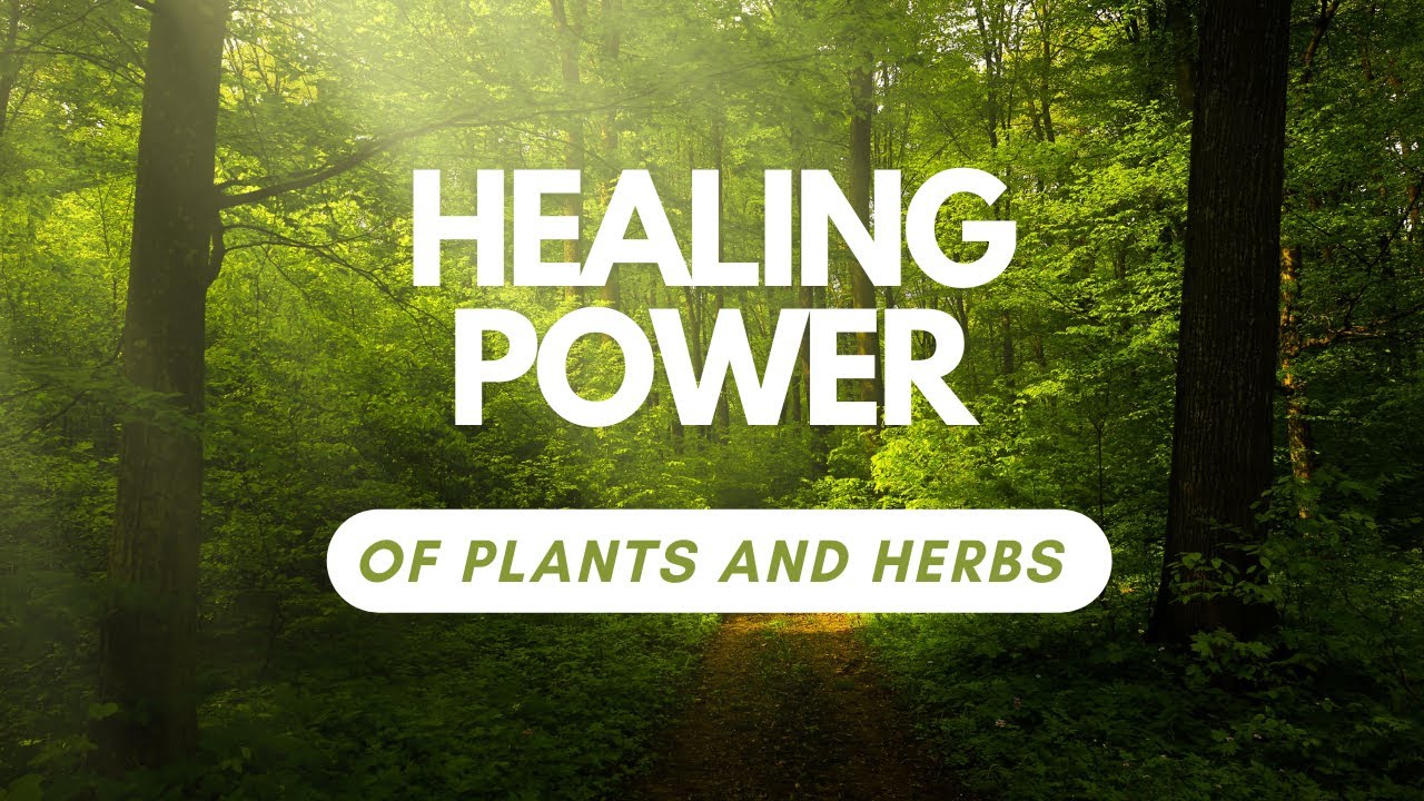 Discovering the Healing Power of Plants  My Journey from Scientist to Herbalist