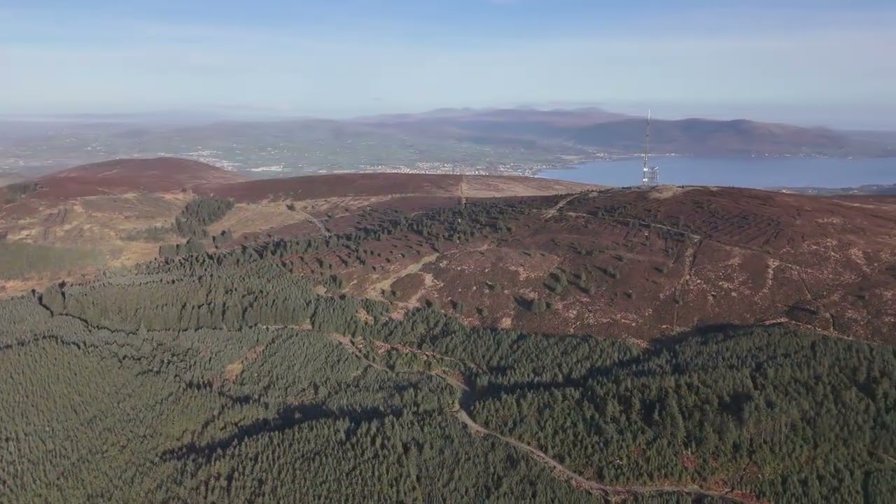 'The Mast' - Clermont Carn- Cooley Mountains County Louth