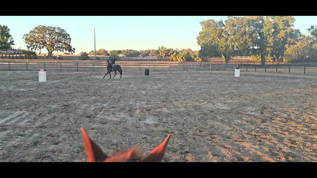 Breezing On Fame 2/6/26 