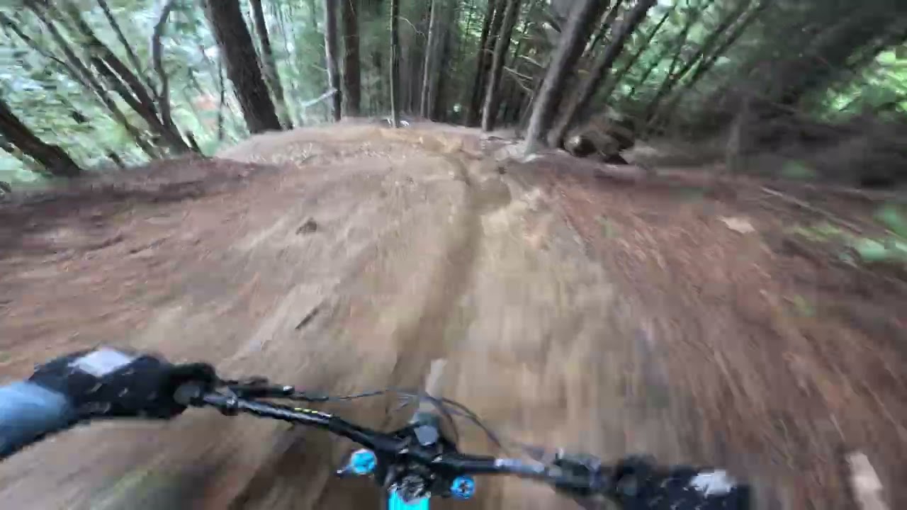 TEST LAP SKYLINE POV!