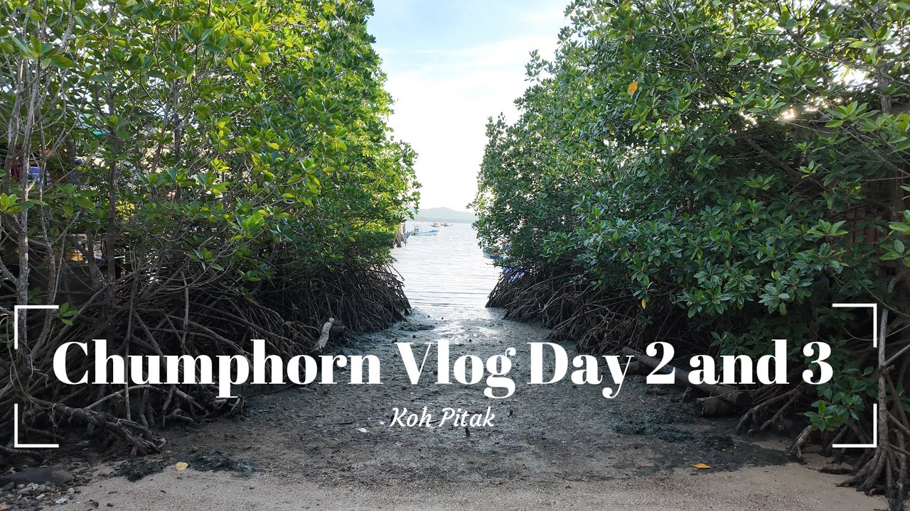 Chumphorn Vlog (Koh Pitak) - Day 2 and 3 เที่ยวชุมพรแบบเรียลๆ ไปเกาะพิทักษ์กัน เจอน้องโลมาด้วย