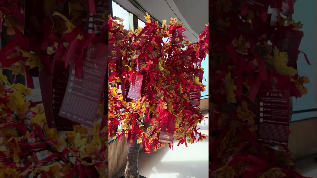 Visit to sydney tower