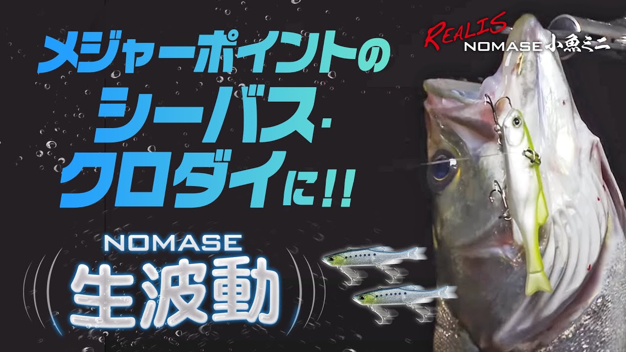 【シーバス・クロダイ】滑らかでリアルな NOMASE((生波動)) が効いた！