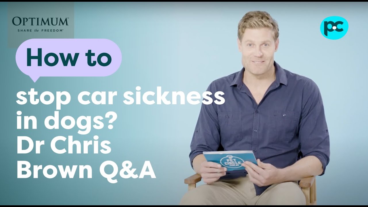 Dr Chris Brown Q&A: How to stop car sickness in #dogs? | PET CIRCLE