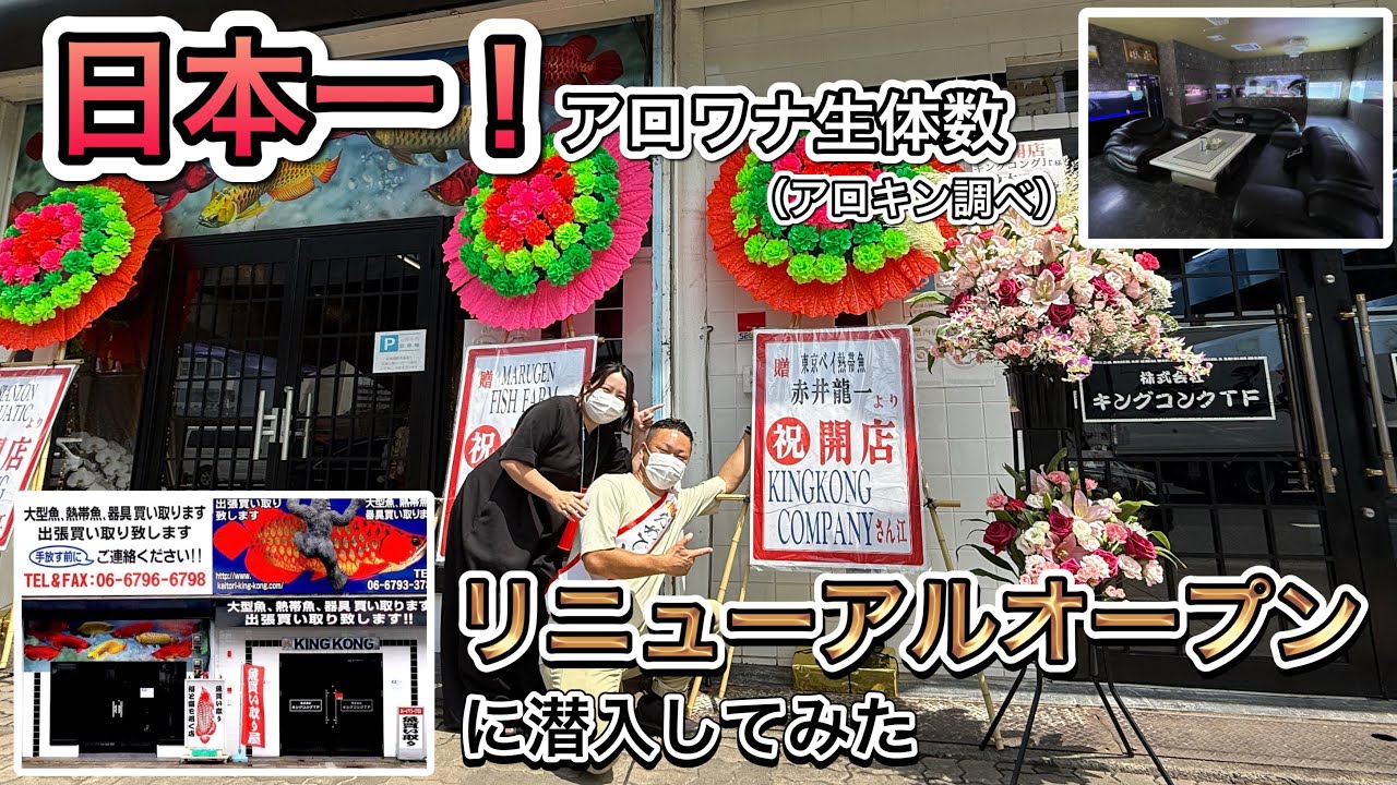 【ショップ訪問】PRO AROWANA SHOP キングコングさん初訪問