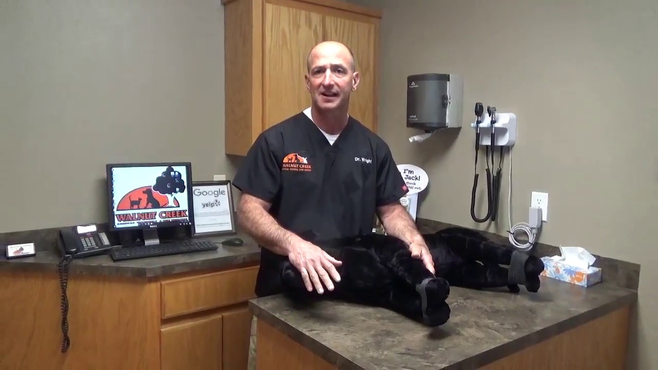 14  rescue breathing
