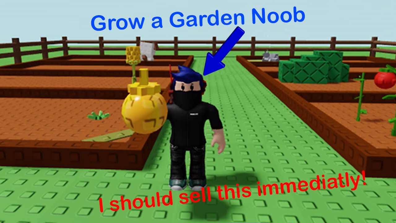 I Tried Grow a Garden for the First Time