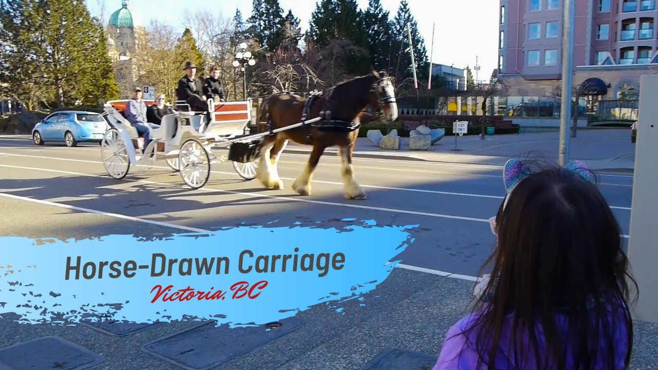Tally-Ho Horse-Drawn Carriage City Tour, Victoria BC
