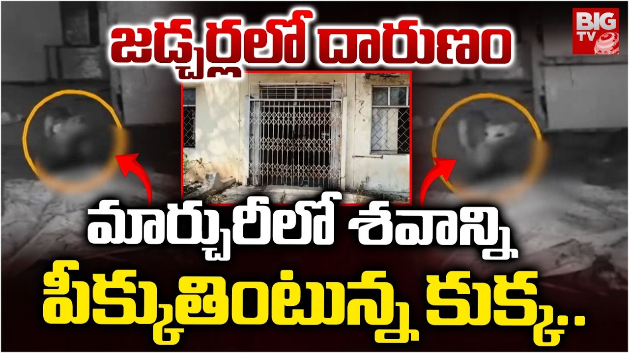 మార్చురీలో శ*వా*న్ని పీక్కుతింటున్న కు**క్క..| Jadcharla Old Govt Hospital Mortuary Incident | BIGTV