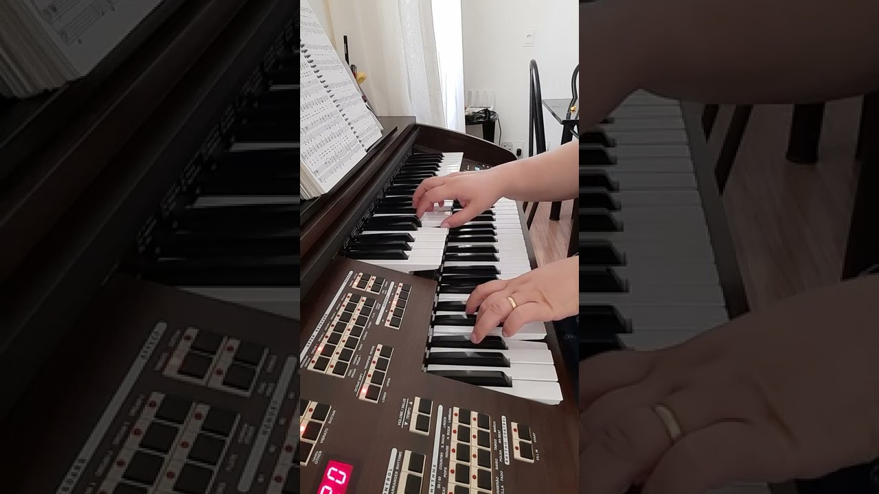 Hino 313 (132 BPM) 