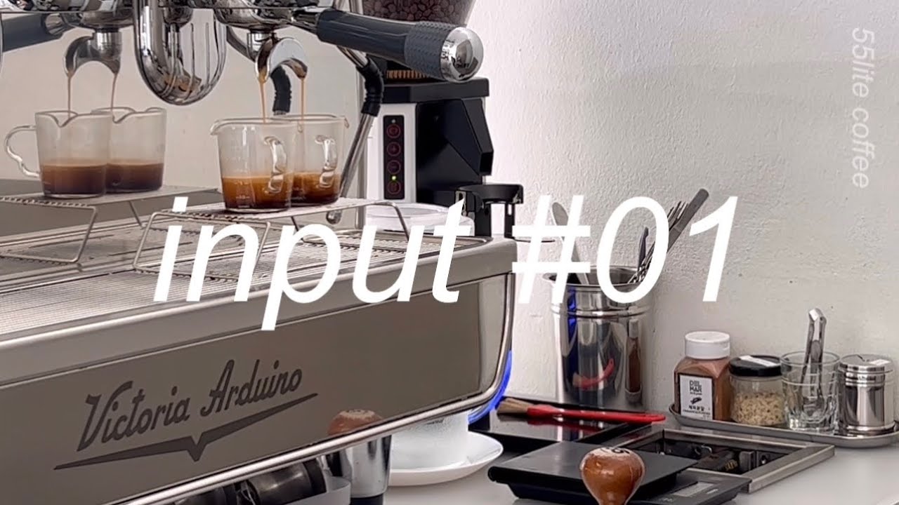 55lite (input #01)