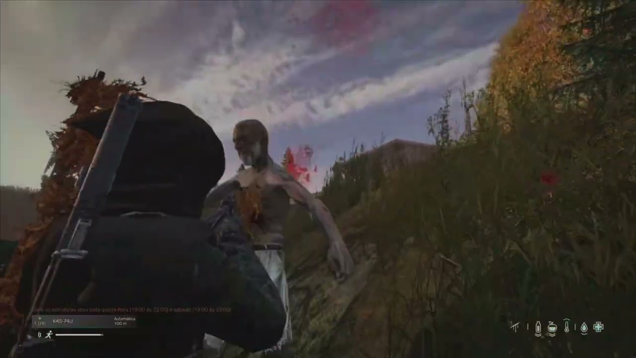1 vs 4 Dayz