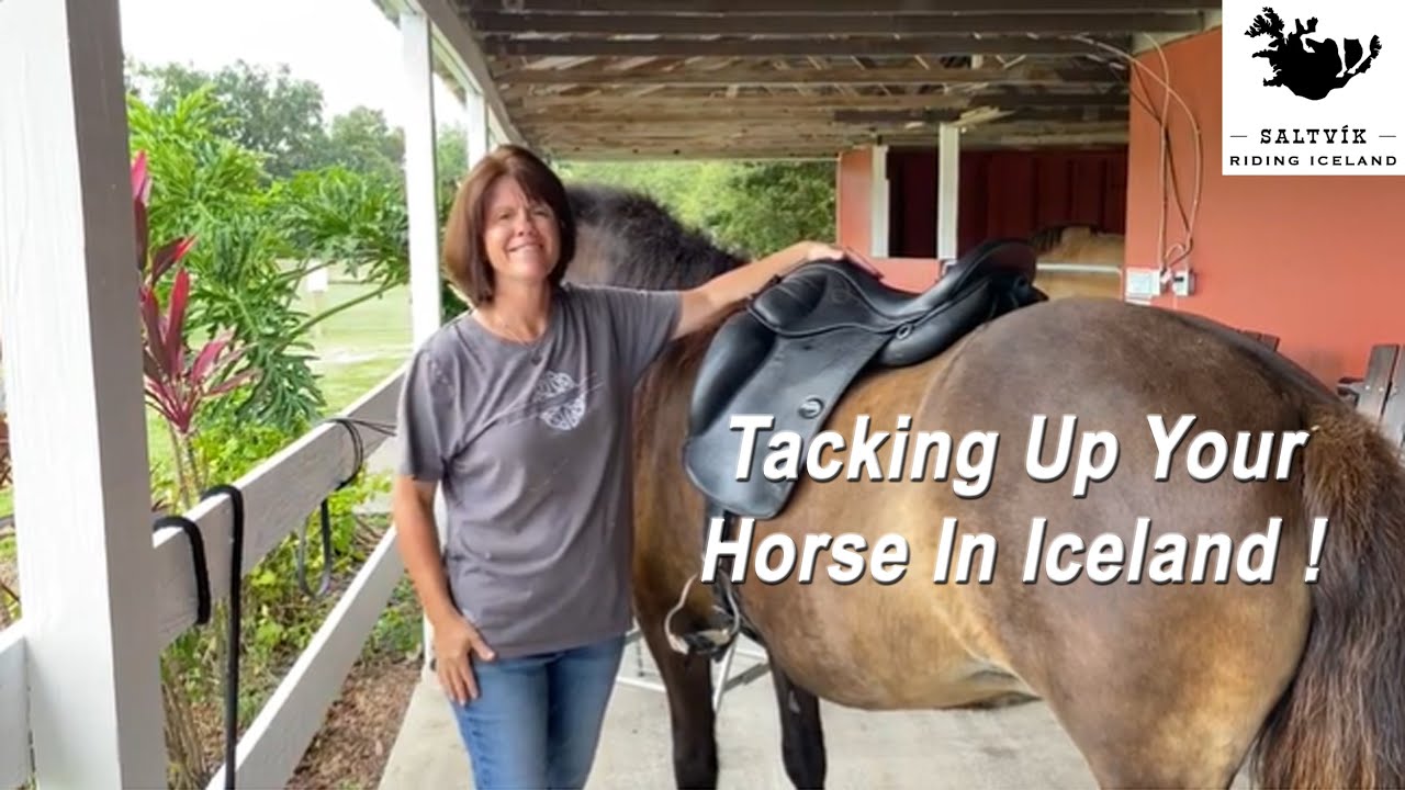 Lisa Demonstrates Tacking Up Your Icelandic Horse !