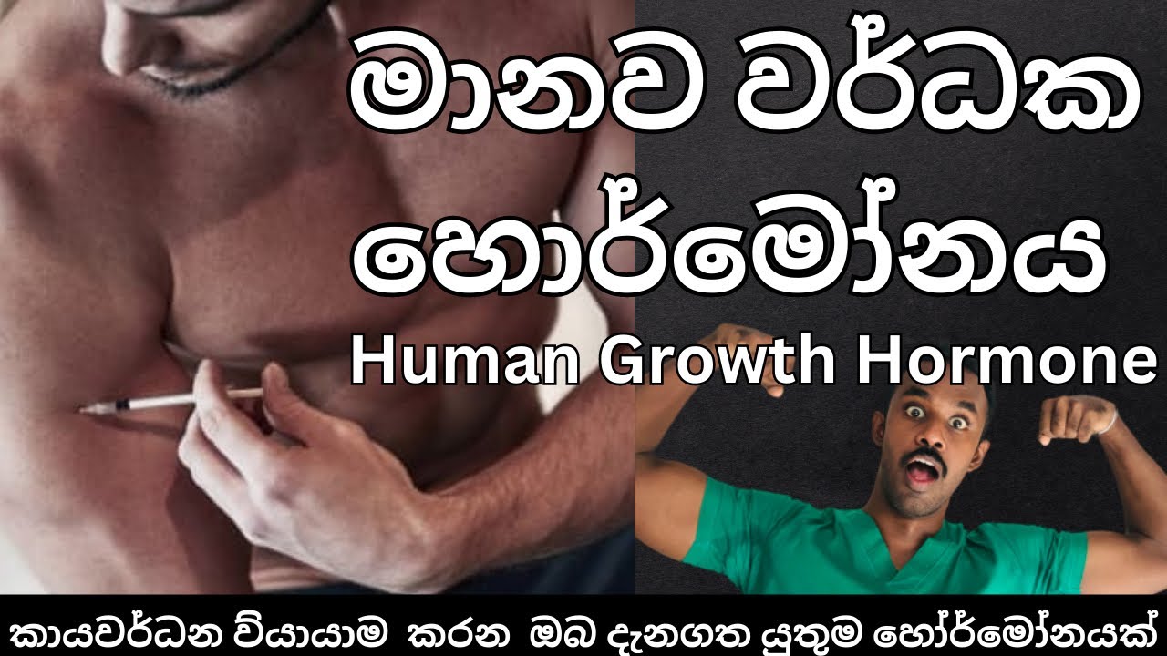 මානව වර්ධක හොර්මෝනය පිළිබඳ සම්පූර්ණ පැහැදිලි කිරීම | Everything you need to know about HGH Hormone