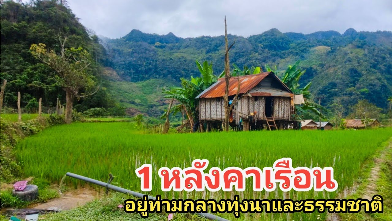 1 หลังคาเรือนที่ท่ามกลางธรรมชาติและทุ่งนา