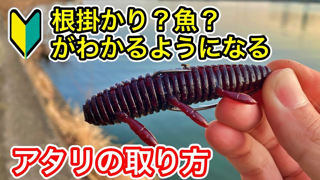 ワームのアタリのとり方、魚と根掛かりの違い 【バス釣り】