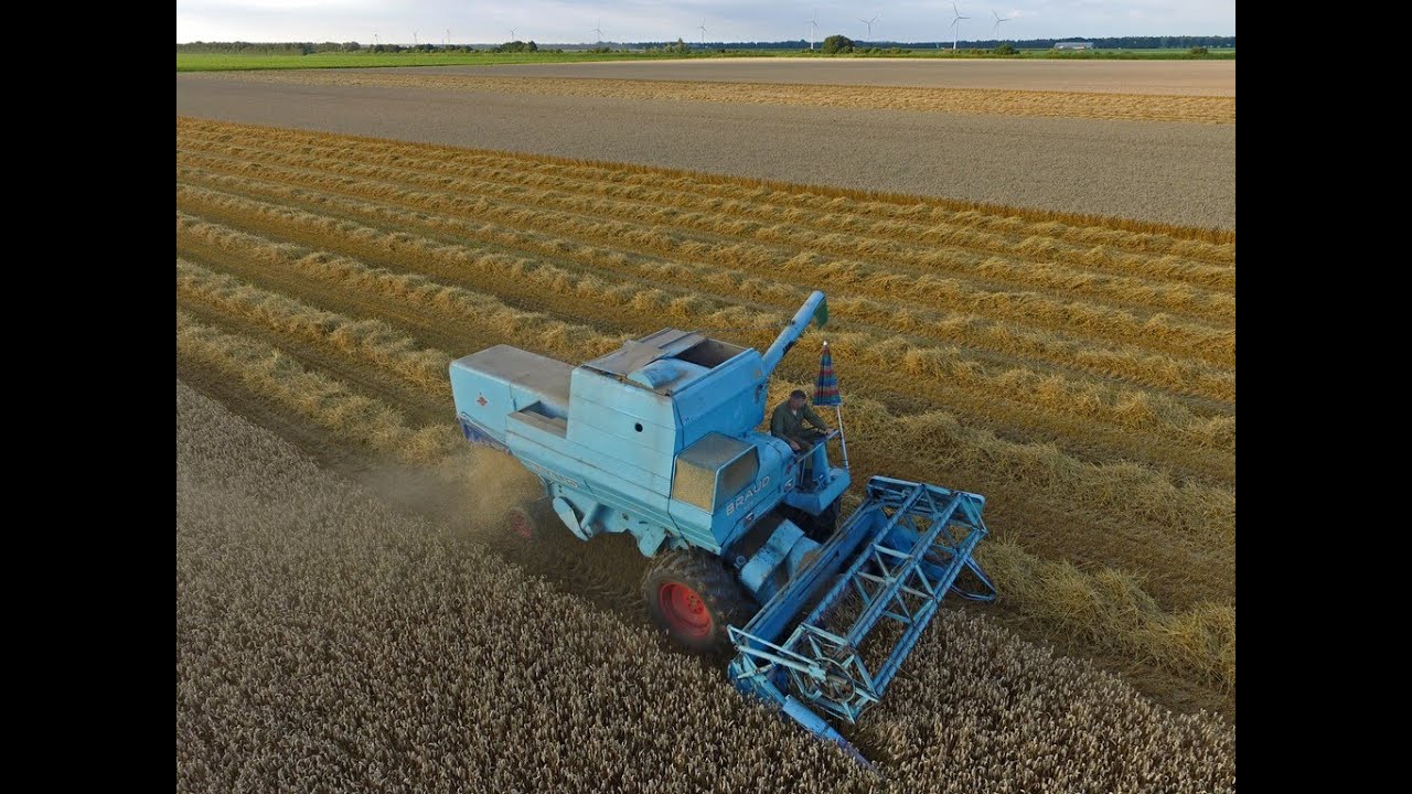 50 shades of grain | Braud 505 classic combine | Harvest 2016