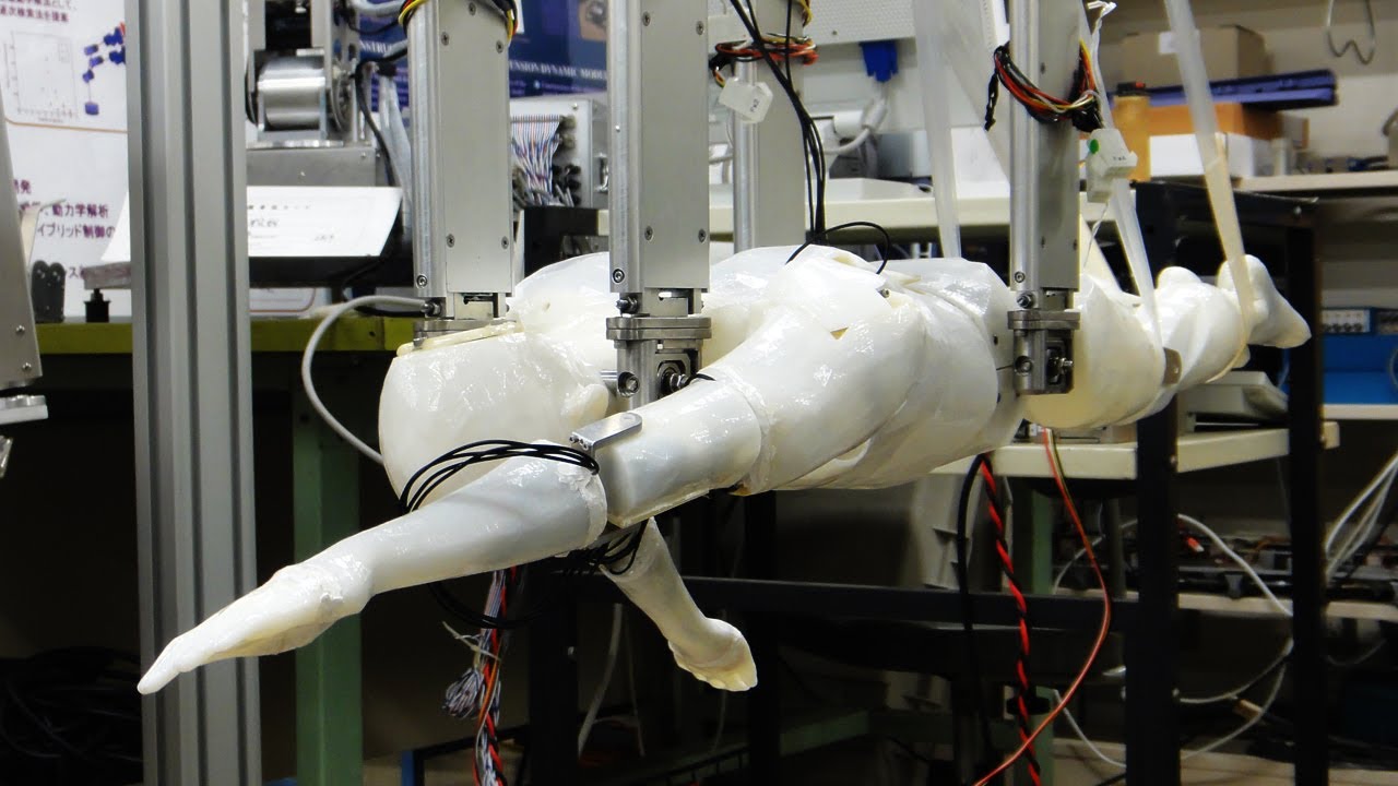 Swumanoid swimming android robot from Tokyo Tech will help athletes swim faster #DigInfo